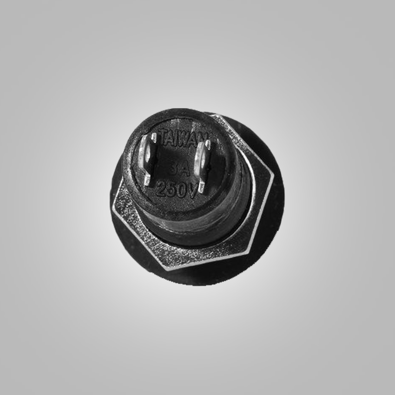 BOUTON POUSSOIR INTERRUPTEUR VERT-image-2
